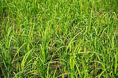 PS版《GT赛车7》1.34版本更新预告 新增3辆新车